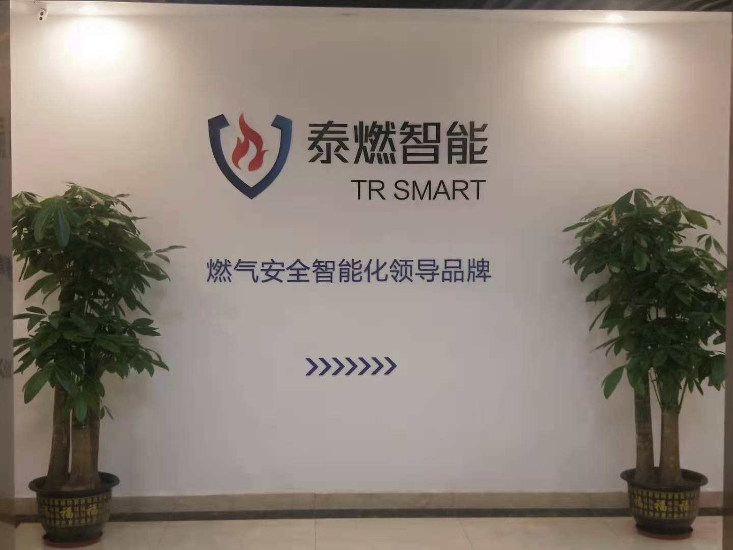 简讯 I 泰燃智能正式启动ISO三体系认证